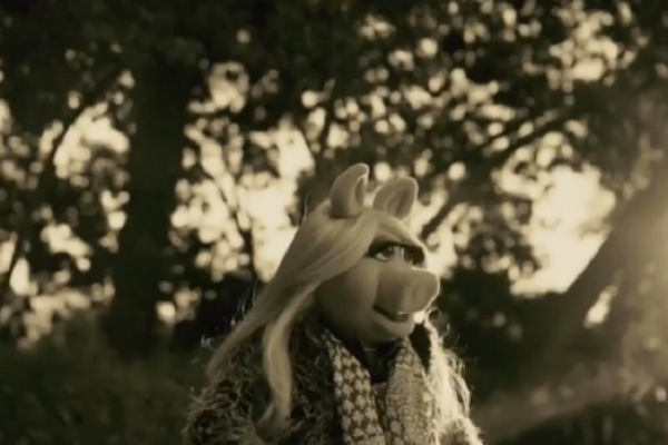 Kermit Miss Piggy Star In Adele Hello Music Video Parody Watch Mstarsnews